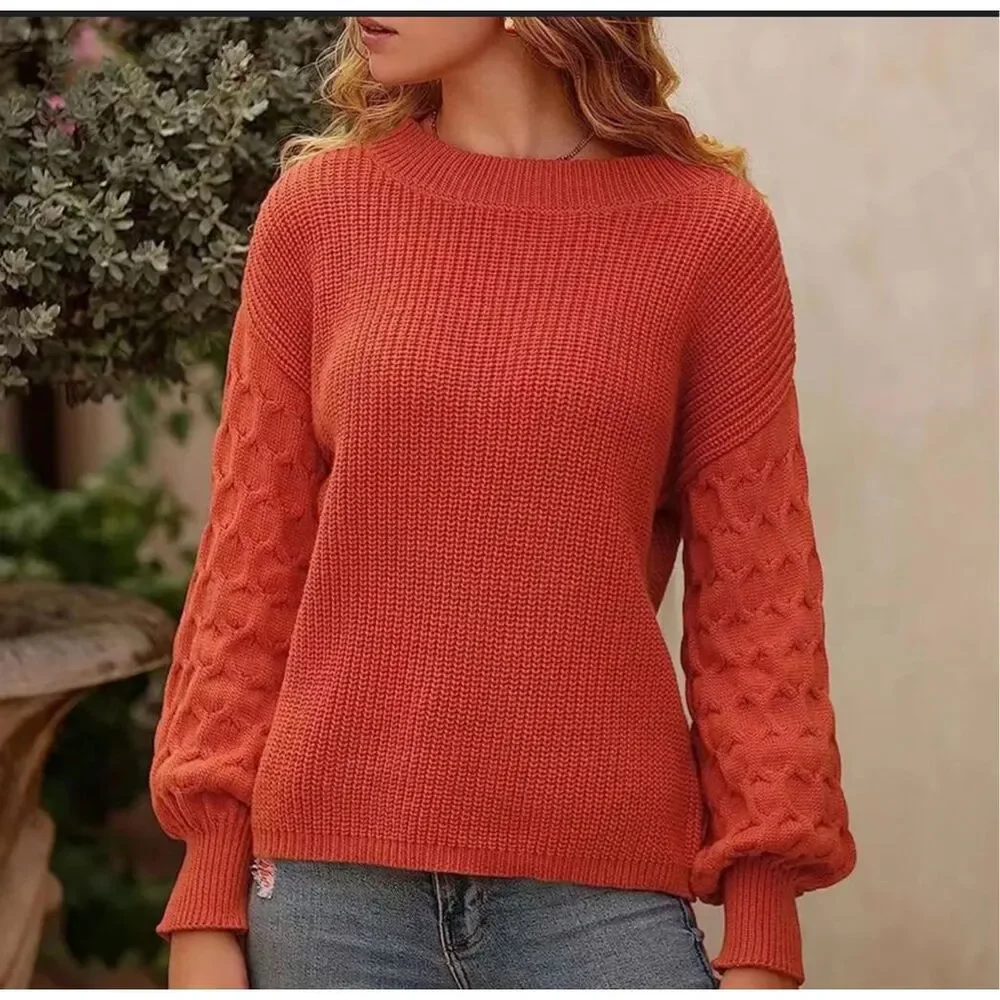 Pretty Garden Womens Cable Knit Sleeve Ribbed Pullover Sweater‎ Rust Small NWT